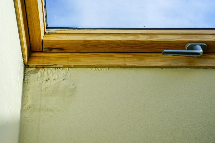 Dégâts de peinture avec cloques et décollement sur mur humide